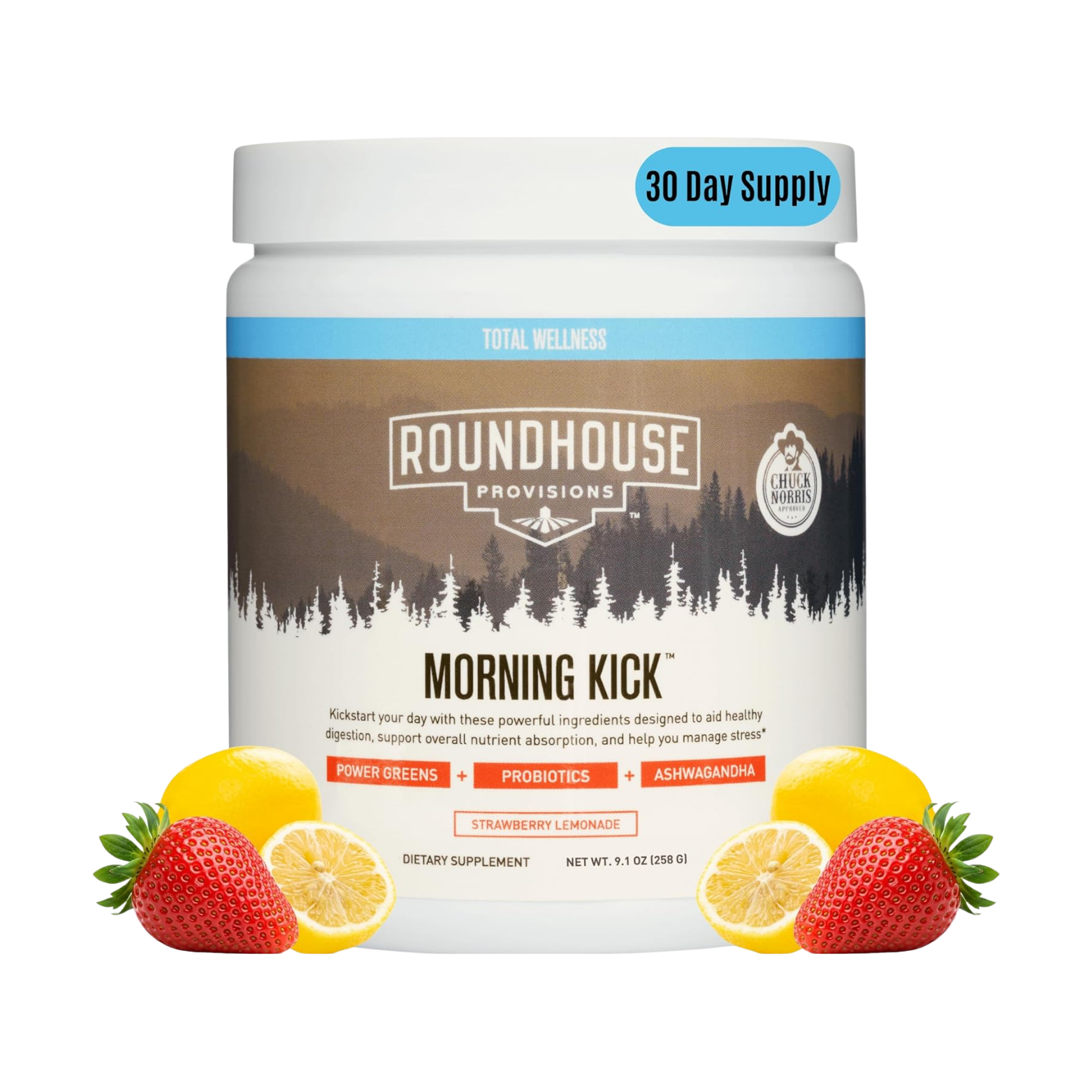 ROUNDHOUSE PROVISION Morning Kick